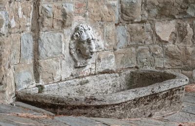 Casa señorial en venta Castellina in Chianti, Toscana, Imagen 8/29