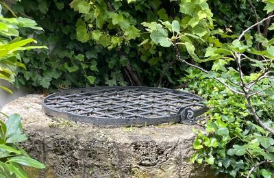 Palacio en venta 84375 Kirchdorf am Inn, Hofmarkstraße 2, Baviera, Schlossbrunnen