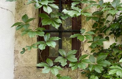 Palacio en venta 84375 Kirchdorf am Inn, Hofmarkstraße 2, Baviera, eines von 4 Tuffsteinfenstern im EG