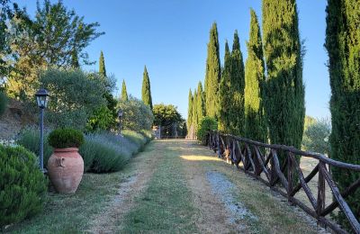 Casa de campo en venta Anghiari, Toscana, Imagen 16/41