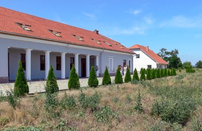 Inmuebles históricos, Casa señorial con 6 hectáreas en la región de Budapest