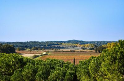 Castillo en venta Pouzilhac, Occitania, Imagen 43/43