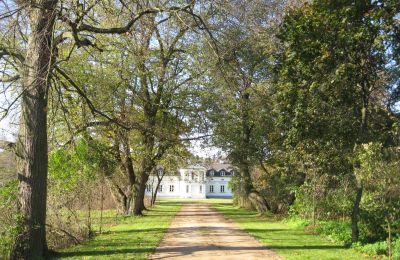 Casa señorial en venta Mołomotki-Dwór, Mazovia, Imagen 6/16