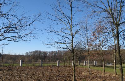 Casa señorial en venta Mołomotki-Dwór, Mazovia, ogrodzenie