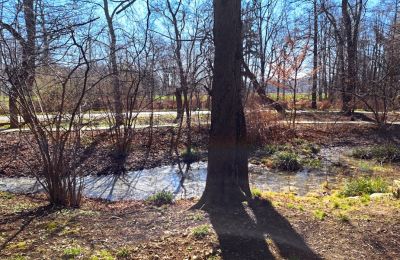 Palacio en venta Bystrzyca Dolna, Baja Silesia, Imagen 9/9