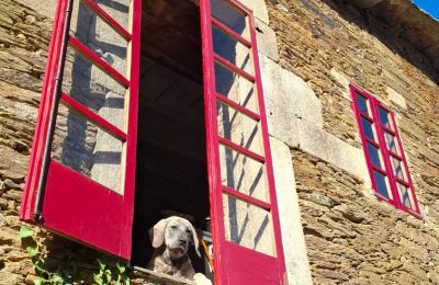 Casa señorial en venta Galicia, Imagen 10/48