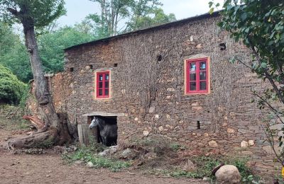 Casa señorial en venta Galicia, Imagen 11/48