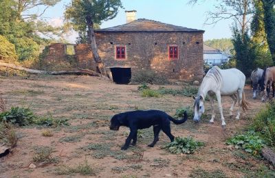 Casa señorial en venta Galicia, Imagen 12/48