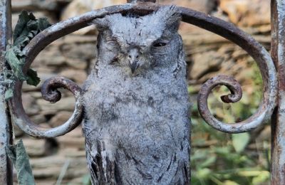 Casa señorial en venta Galicia, Imagen 30/48