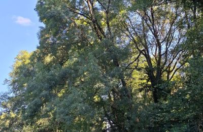 Casa señorial en venta Galicia, Imagen 32/48