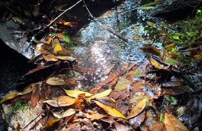 Casa señorial en venta Galicia, Imagen 33/48