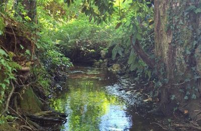 Casa señorial en venta Galicia, Imagen 35/48