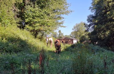 Casa señorial en venta Galicia, Imagen 42/48