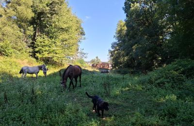Casa señorial en venta Galicia, Imagen 43/48