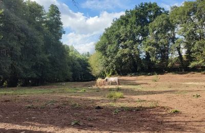 Casa señorial en venta Galicia, Imagen 46/48