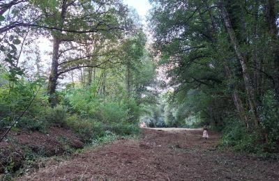 Casa señorial en venta Galicia, Imagen 47/48