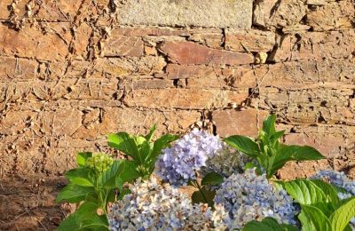 Casa señorial en venta Galicia, Imagen 8/48