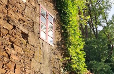 Casa señorial en venta Galicia, Imagen 9/48