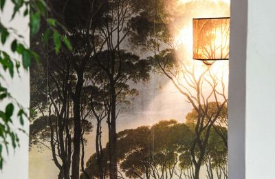 Propiedad histórica en venta Uzès, Occitania, Imagen 25/46