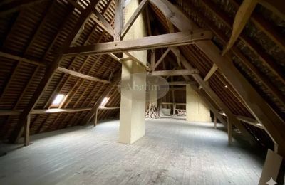 Palacio en venta Mirande, Occitania, Imagen 20/26