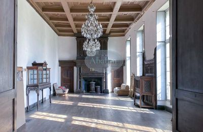 Palacio en venta Mirande, Occitania, Imagen 8/26