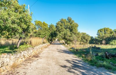 Casa señorial en venta Palma, Islas Baleares, Imagen 20/24