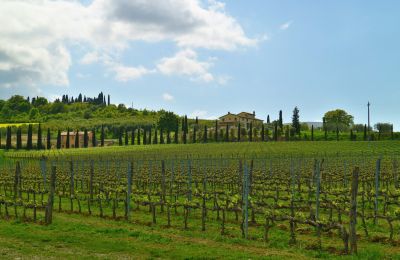 Casa de campo en venta Sarteano, Toscana, Imagen 49/50