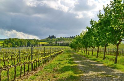 Casa de campo en venta Sarteano, Toscana, Imagen 46/50