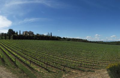 Casa de campo en venta Sarteano, Toscana, Imagen 50/50