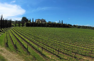 Casa de campo en venta Sarteano, Toscana, Imagen 48/50