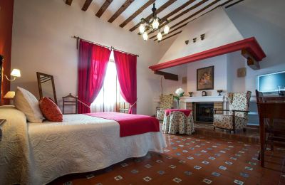 Palacio en venta Castilla-La Mancha, Imagen 3/8
