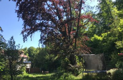 Apartamento en edificio histórico en venta Gera, Vollersdorfer Str. 56, Turingia, Garten mit Buche