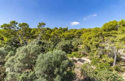 Mansión histórica en venta Palma, Islas Baleares, villa-palma-30