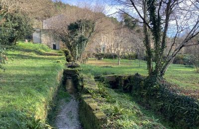 Molino en venta Angoulême, Nueva Aquitania, Propiedad