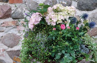 Castillo en venta Mecklemburgo-Pomerania Occidental, Imagen 52/97