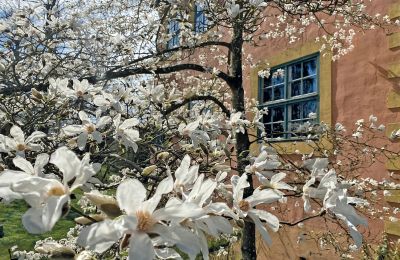Castillo Mecklemburgo-Pomerania Occidental