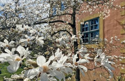 Castillo en venta Mecklemburgo-Pomerania Occidental, Imagen 44/97