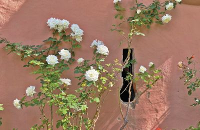 Castillo en venta Mecklemburgo-Pomerania Occidental, Imagen 43/97