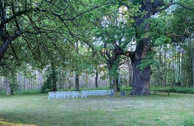 Castillo en venta Mecklemburgo-Pomerania Occidental, Imagen 67/97