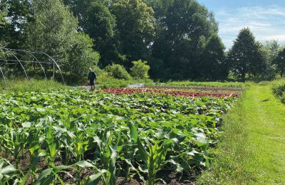 Castillo en venta Mecklemburgo-Pomerania Occidental, Imagen 61/97