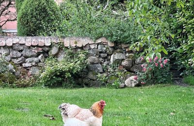 Castillo en venta Mecklemburgo-Pomerania Occidental, Imagen 74/97