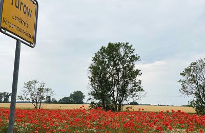 Castillo en venta Mecklemburgo-Pomerania Occidental, Imagen 92/97