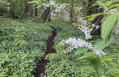 Castillo en venta Mecklemburgo-Pomerania Occidental, Imagen 57/97