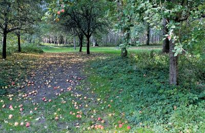 Castillo en venta Mecklemburgo-Pomerania Occidental, Imagen 68/97