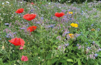 Castillo en venta Mecklemburgo-Pomerania Occidental, Imagen 64/97