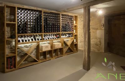 Casa de campo en venta Mouzon, Nueva Aquitania, Bodega