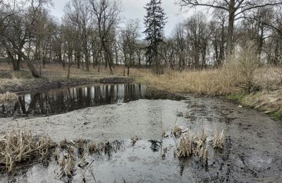 Casa señorial en venta Bolkowice, Dwór w Bolkowicach, Pomerania Occidental, Jardín del Palacio
