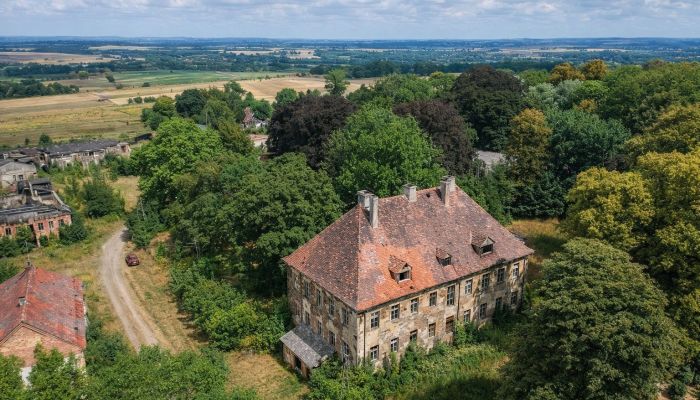 Palacio en venta Kostrzyna, Baja Silesia