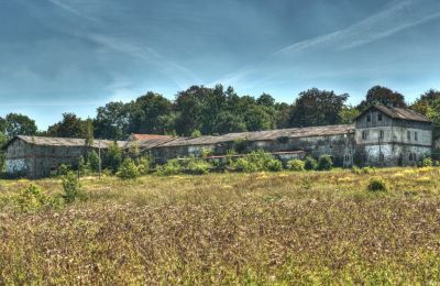 Palacio en venta Kostrzyna, Kostrzyna 38, Baja Silesia, Imagen 11/19