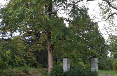 Palacio en venta Kostrzyna, Kostrzyna 38, Baja Silesia, Imagen 12/19